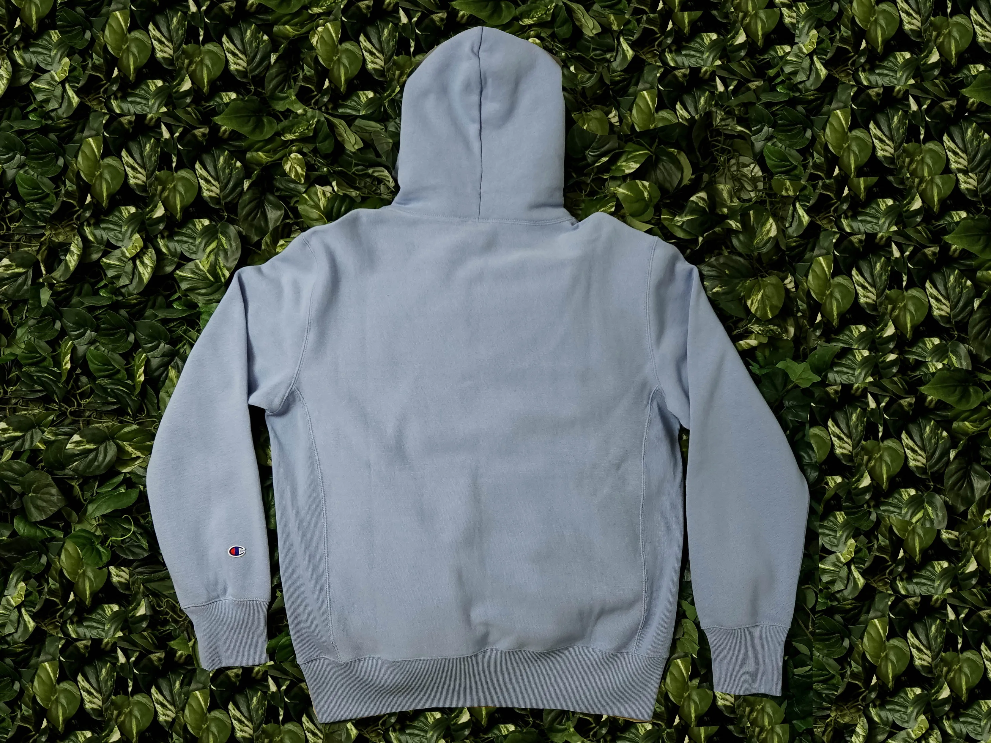 Champion EU Mens Reverse Weave Hoodie