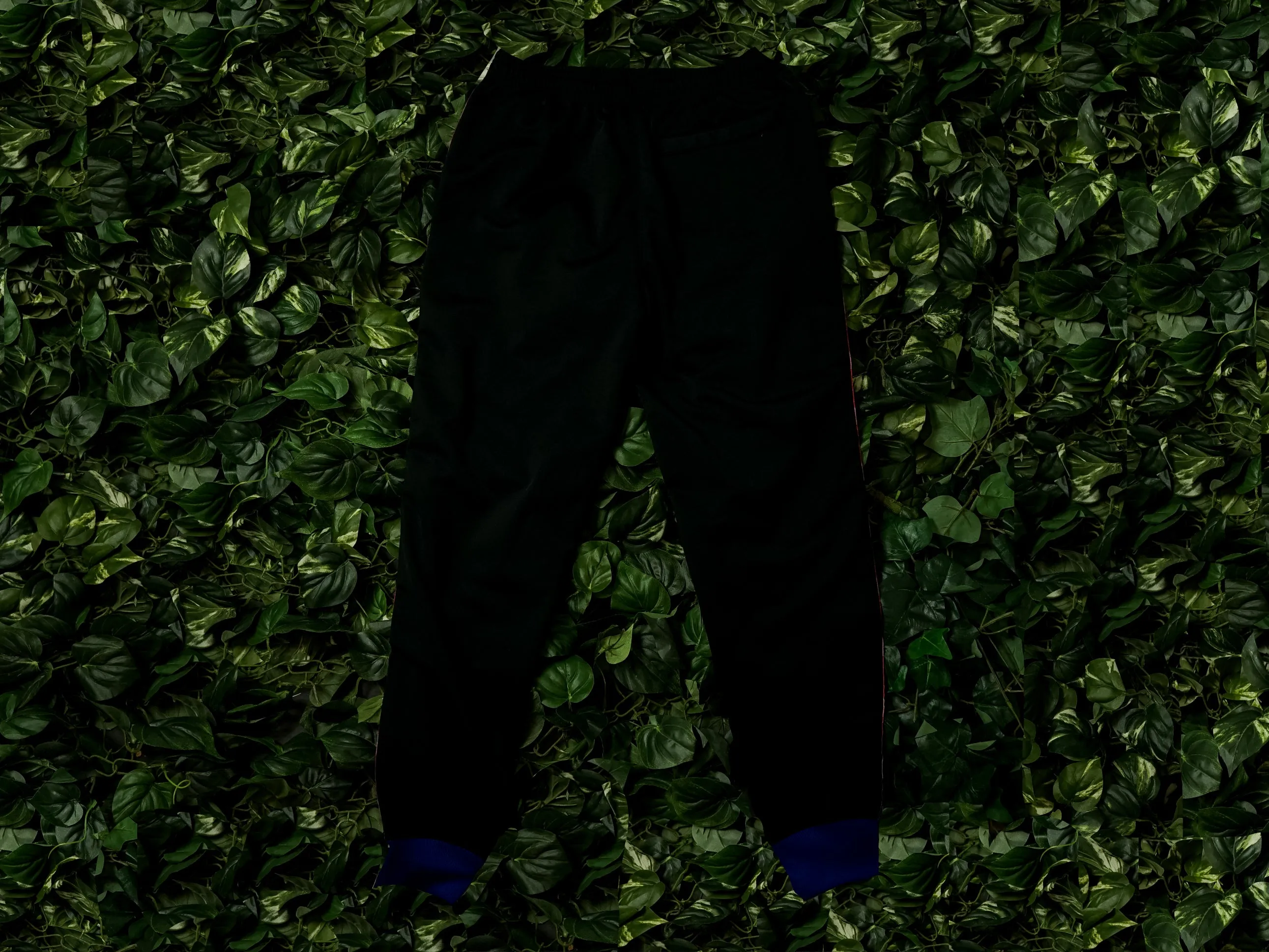 Champion Life Track Pants [P3378-HHT]