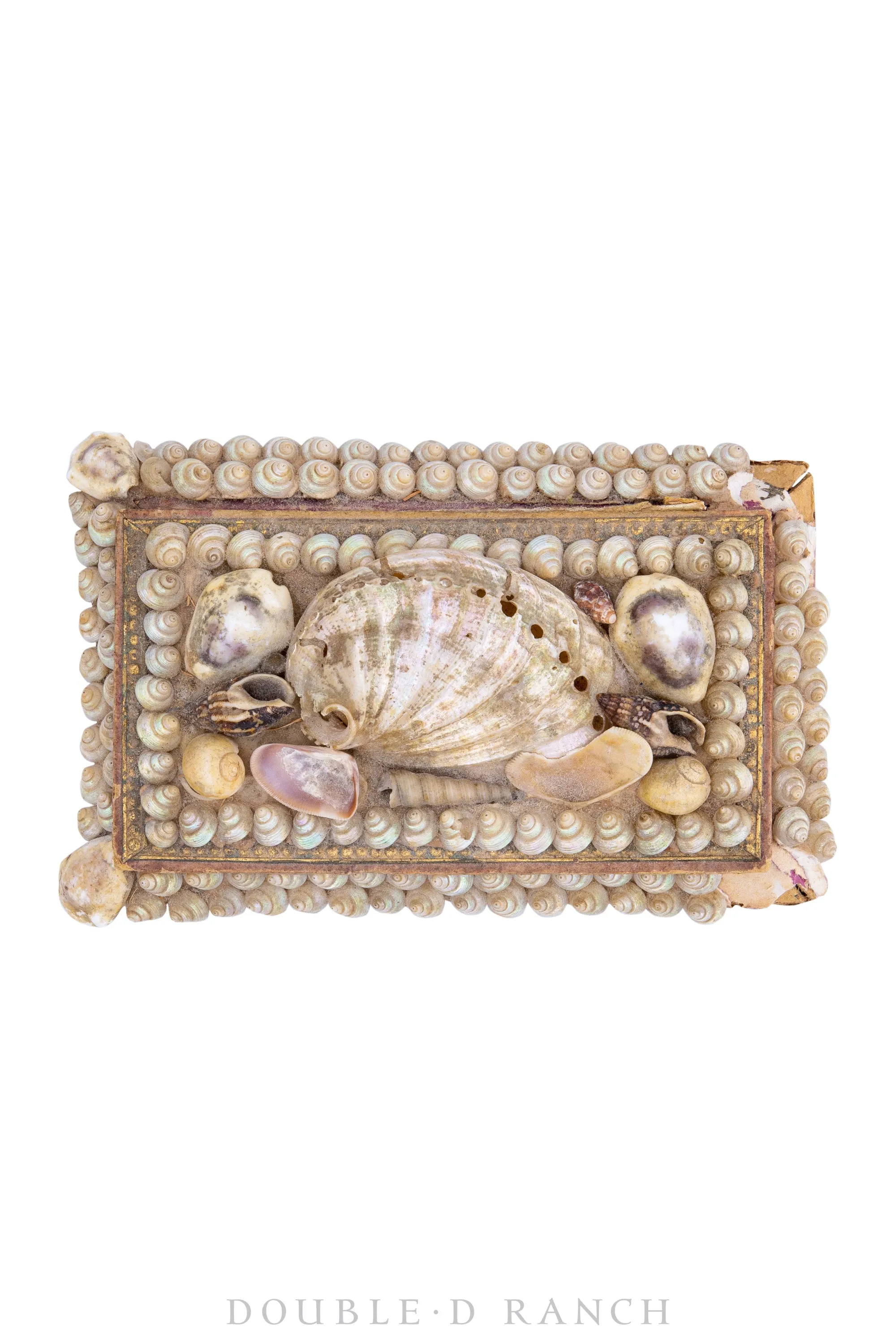 Miscellaneous, Encrusted Shell Box, Vintage, 484